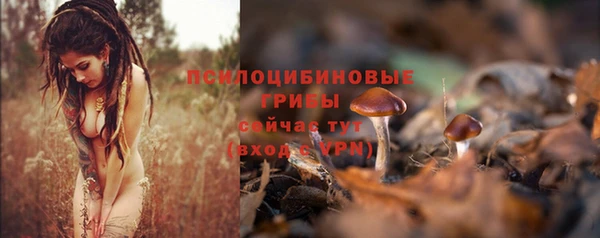 круглые Иннополис