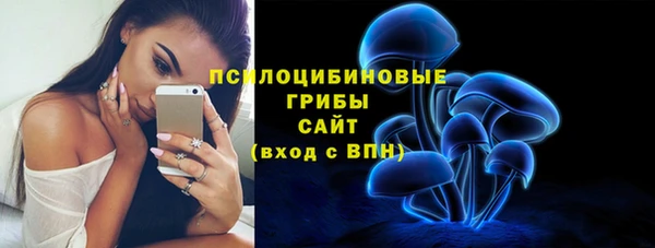 круглые Иннополис