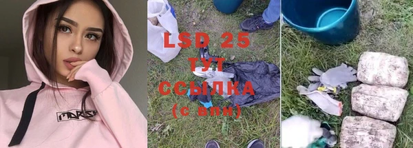 амф Инта