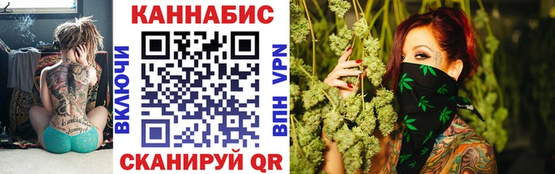 Канабис сатива Узловая